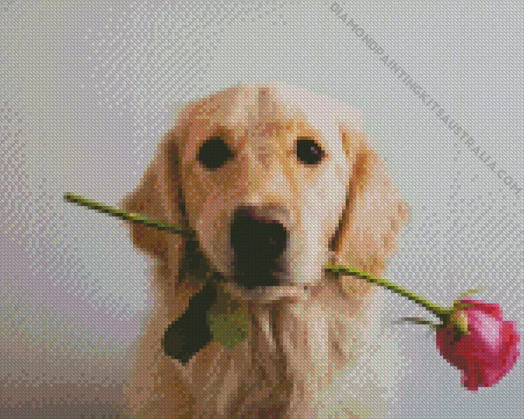 dog holding a rose Diamond By Numbers