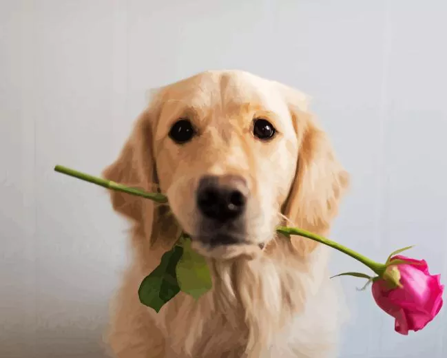 dog holding a rose Diamond Paints Dog Holding A Rose Diamond Painting