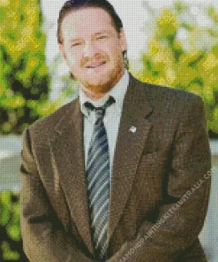 Donal Logue Actor Diamond Painting