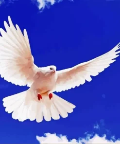 Flying Pigeon Diamond Painting