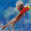 Golden Pheasant Diamond Painting