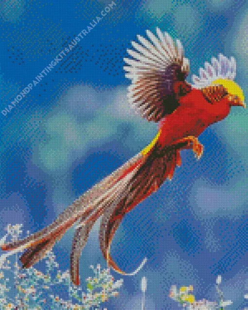 Golden Pheasant Diamond Painting