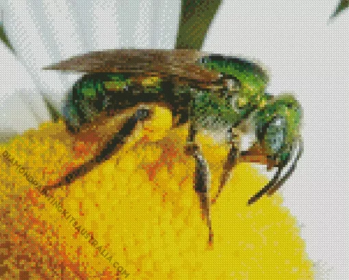 Green Bee Insect Diamond Painting