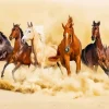 Herd Of Horses Diamond Painting