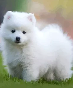 Japanese Spitz Dog Diamond Painting