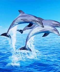 Jumping Dolphins Diamond Painting