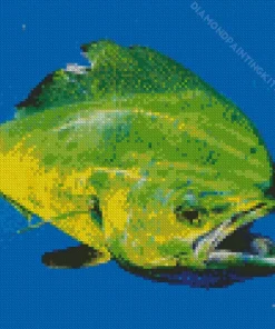 Mahi Mahi Fish Diamond Painting