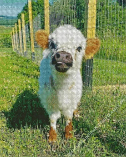 Miniature Cow Diamond Painting