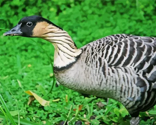 Nene Bird Diamond Painting