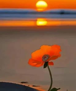 Orange Flower On The Beach Diamond Painting