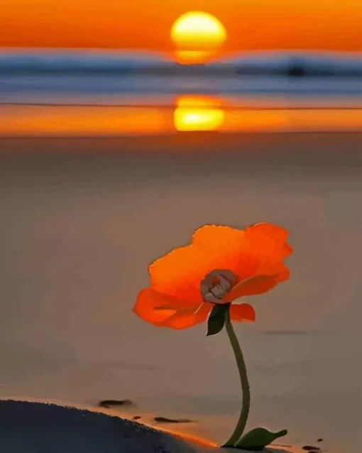 Orange Flower On The Beach Diamond Painting