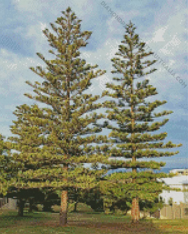 pine trees Diamond By Numbers Pine Trees Diamond Painting