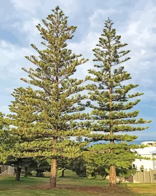 pine trees Diamond Paintings Pine Trees Diamond Painting