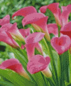 Pink Calla Lily Diamond Painting