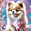 Pomeranian Dog Diamond Painting