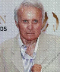 Robert Conrad Diamond Painting
