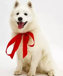 White Dog With Red Bow Diamond Painting