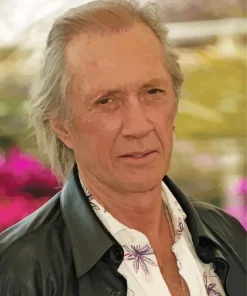 David Carradine Diamond Painting
