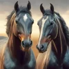 Black Arabian Horses Diamond Painting