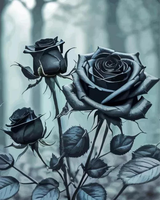 black roses Diamond By Numbers Black Roses Diamond Painting