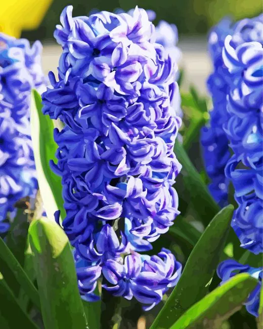 blue hyacinth flower Diamond By Numbers Blue Hyacinth Flower Diamond Painting
