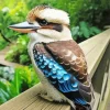 Blue Winged Kookaburra Bird Diamond Painting