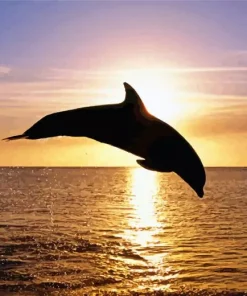 Bottlenose Dolphin Silhouette Diamond Painting