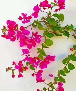 Bougainvillea Branch Diamond Painting