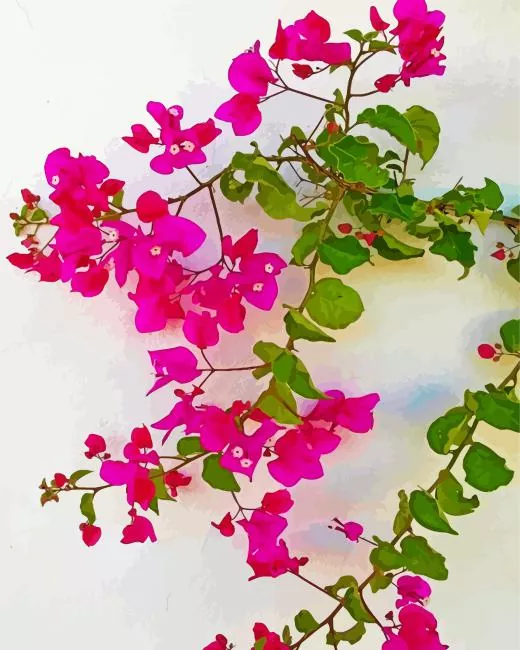 bougainvillea branch Diamond Paints Bougainvillea Branch Diamond Painting