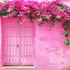 Bougainvillea Front Door Diamond Painting