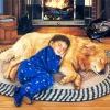 Boy And His Dog Sleeping Diamond Painting