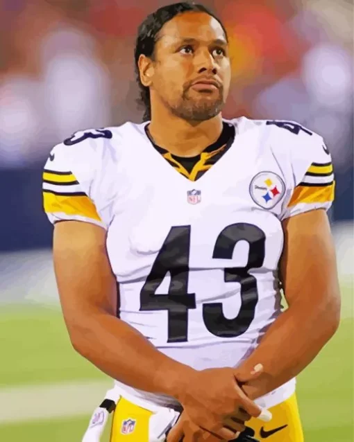 Brandon Polamalu Diamond Painting