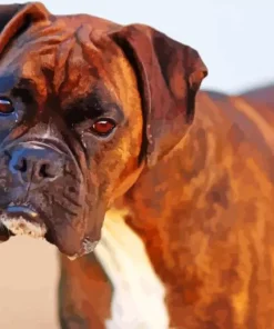 Brindle Dog Diamond Painting