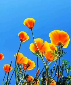 California Poppies Diamond Painting
