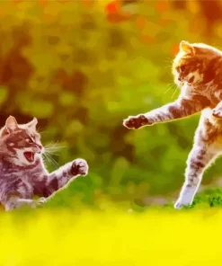 Cats Fighting Diamond Painting