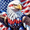 Eagle American Flag Art Diamond Painting