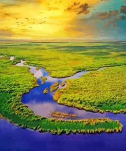 Everglades National Park Diamond Painting