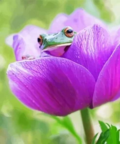 Frog In Flower Diamond Painting