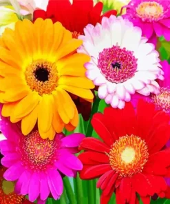 Gerbera Daisy Diamond Painting