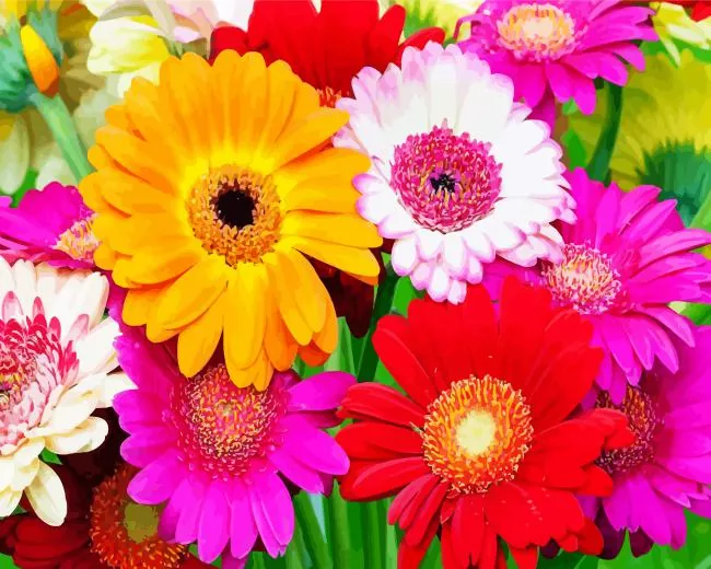 gerbera daisy Diamond Paints Gerbera Daisy Diamond Painting