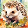 Hedgehog Art Diamond Painting