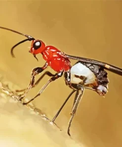Ichneumon Wasp Diamond Painting
