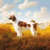 Irish Red And White Setter Diamond Painting