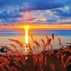 Lake Michigan Sunset Diamond Painting