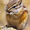 Least Chipmunk Diamond Painting