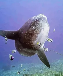 Mola Fish Diamond Painting