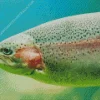 Rainbow Trout Fish Diamond Painting