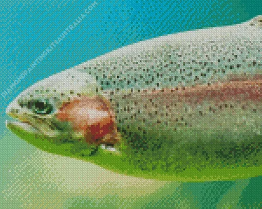 Rainbow Trout Fish Diamond Painting