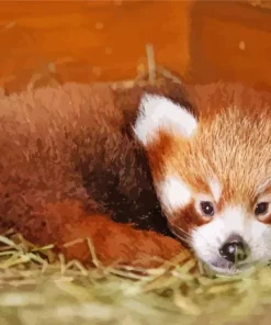 Red Panda Diamond Painting