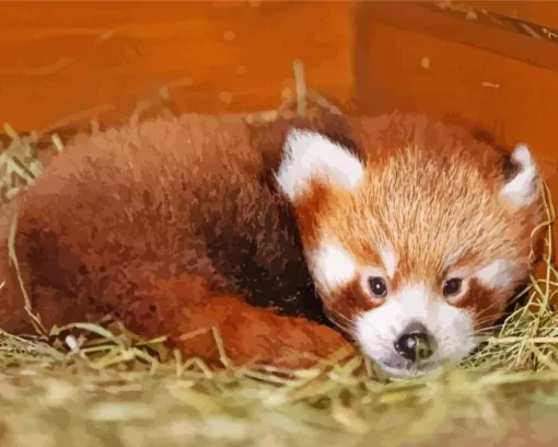 Red Panda Diamond Painting